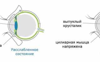 Цикломед (глазные капли): инструкция по применению, цена, где купить, отзывы, состав