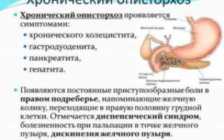 Описторхоз и рак: в чем заключается взаимосвязь