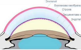 Строение, функции, заболевания, пересадка роговицы глаза