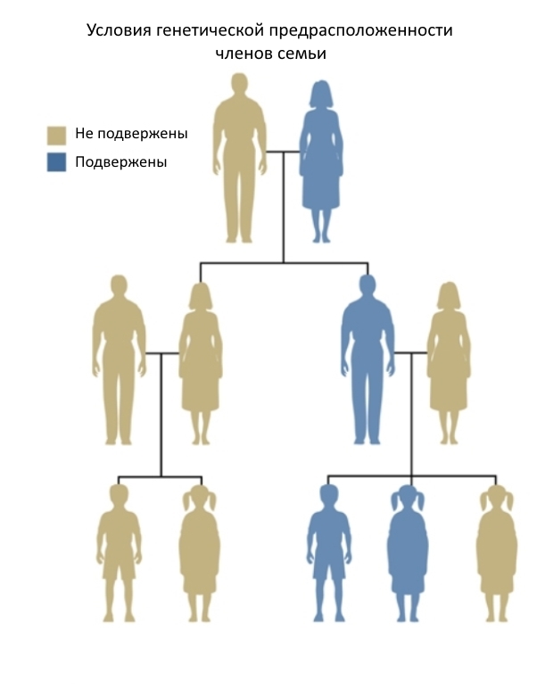 Схема наследственной передачи заболвения