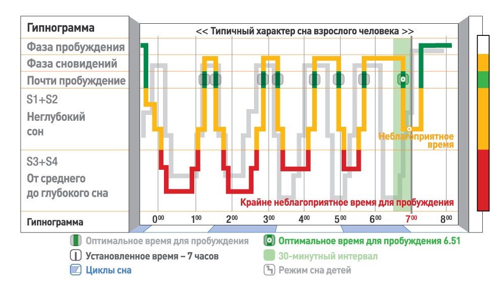 Гипнограмма отображает типичны характер сна взрослого человека